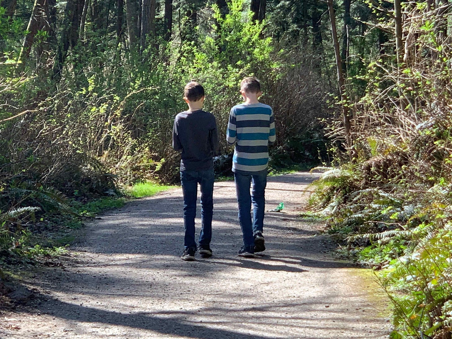 Two young boys looking down at phones in a forest, pictured from the back