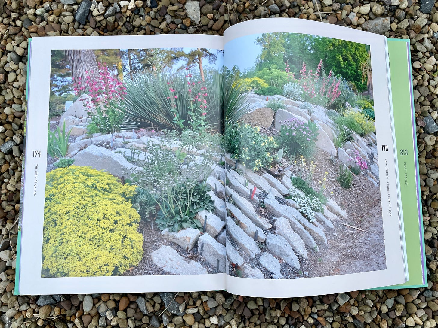 The humid crevice garden at Juniper Level Botanic Garden in North Carolina. Photo of The Crevice Garden book. 