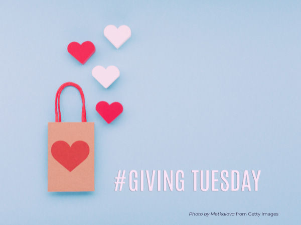 Blue background features a paperbag with a bright red heart on it and red handles. Red and white hearts float above the bag. The words #giving tuesday in bold pink text near the bottom of the image