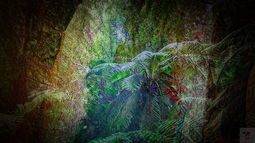 Mixed media: a dark, mysterious fern forest