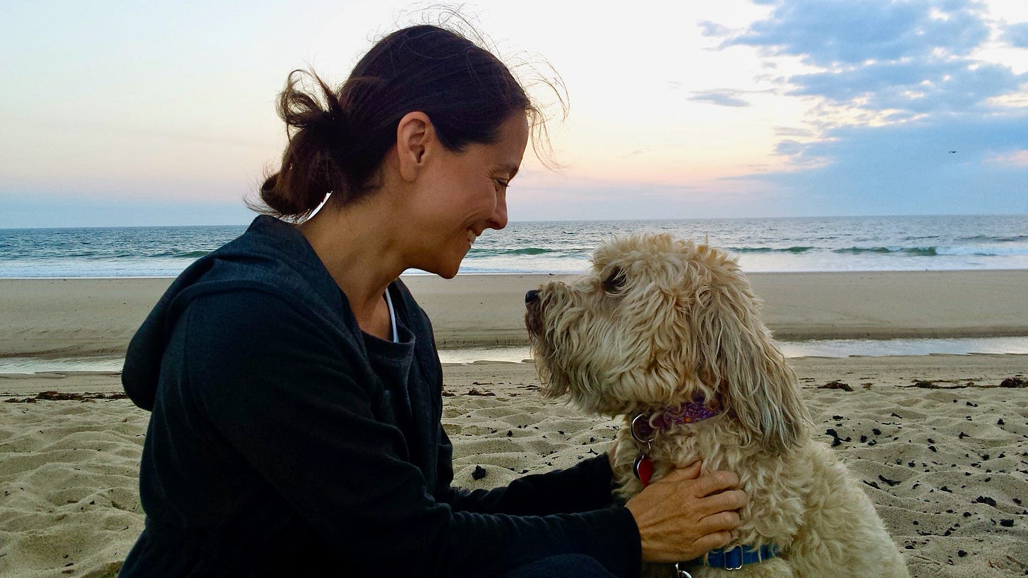 A human and a dog sit on the sand as the sun rises over the ocean. The woman, with dark hair in a messy bun and wearing sweatshirt, smiles at the shaggy dog who looks into her eyes.
