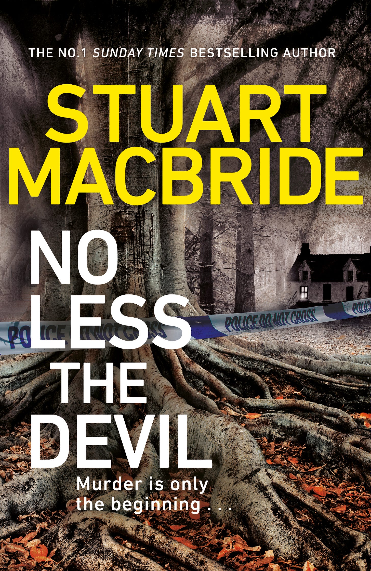 Book cover for Stuart's book: No Less The Devil