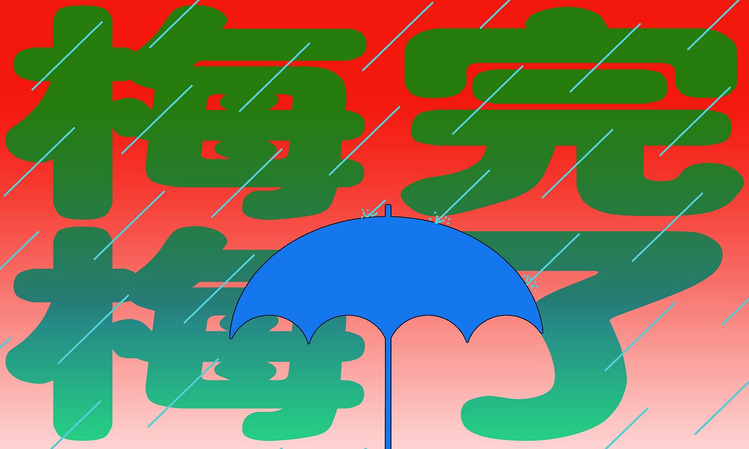 梅完梅了.jpg