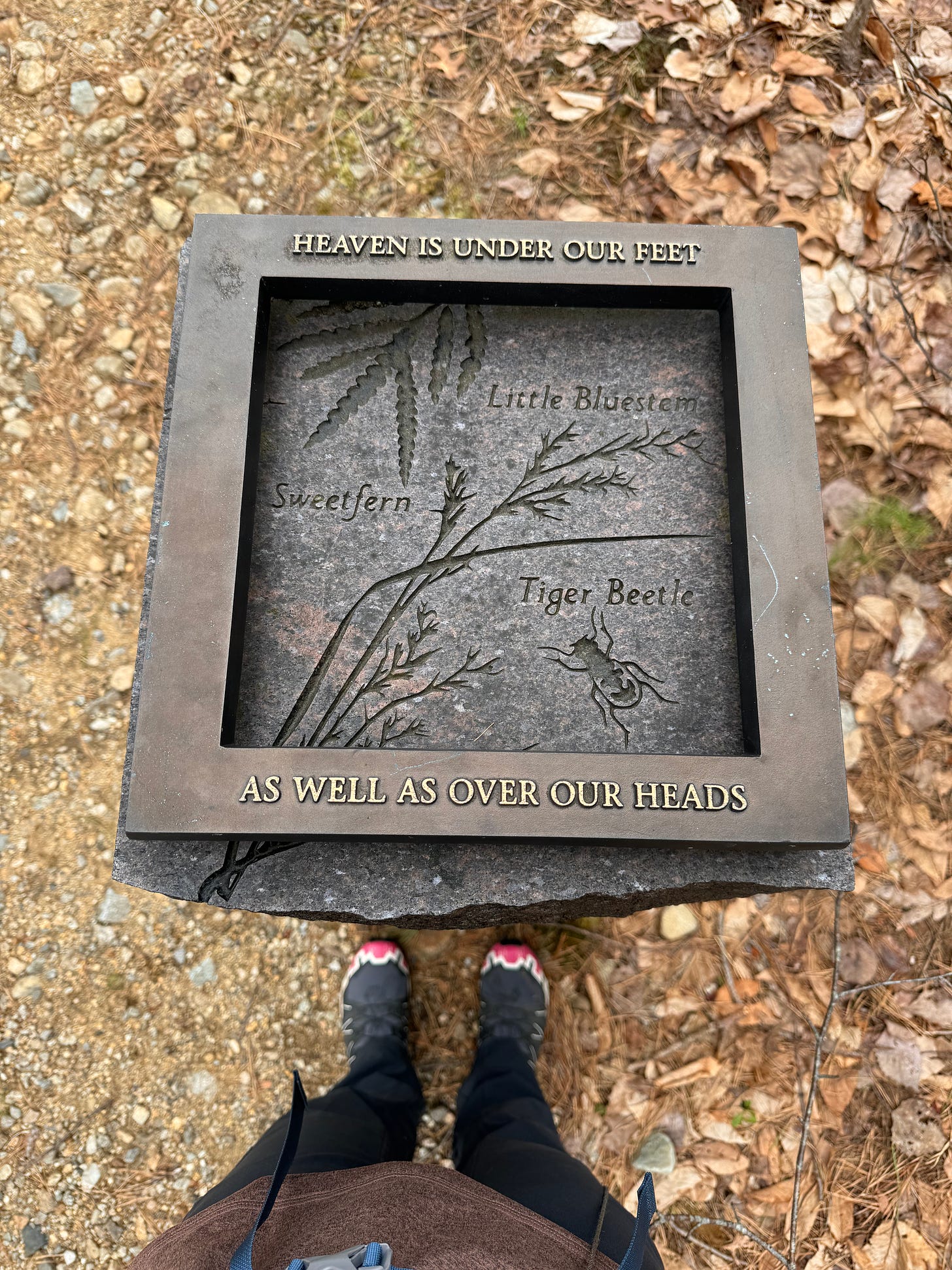 Shot of legs and hiking boots, standing beside a plaque that reads "Heaven is under our feet as well as over our heads." A sweetfern and tiger beetle are engraved into the stone behind the plaque, and leaves are on the ground in the background.