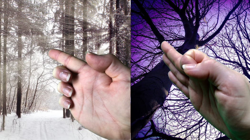 Two different hand positions: forefinger extended with all other fingers curled back against a snowy forest backdrop. Forefinger pinned down by thumb with all fingers jutting forward against dark trees silhouetted against a sky fading to deepest purple.
