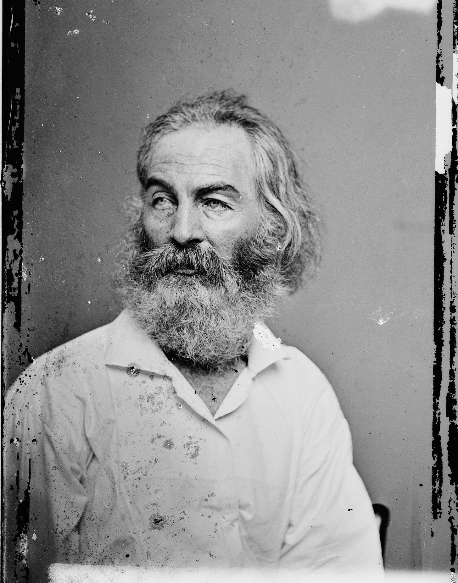 Portrait of Whitman.