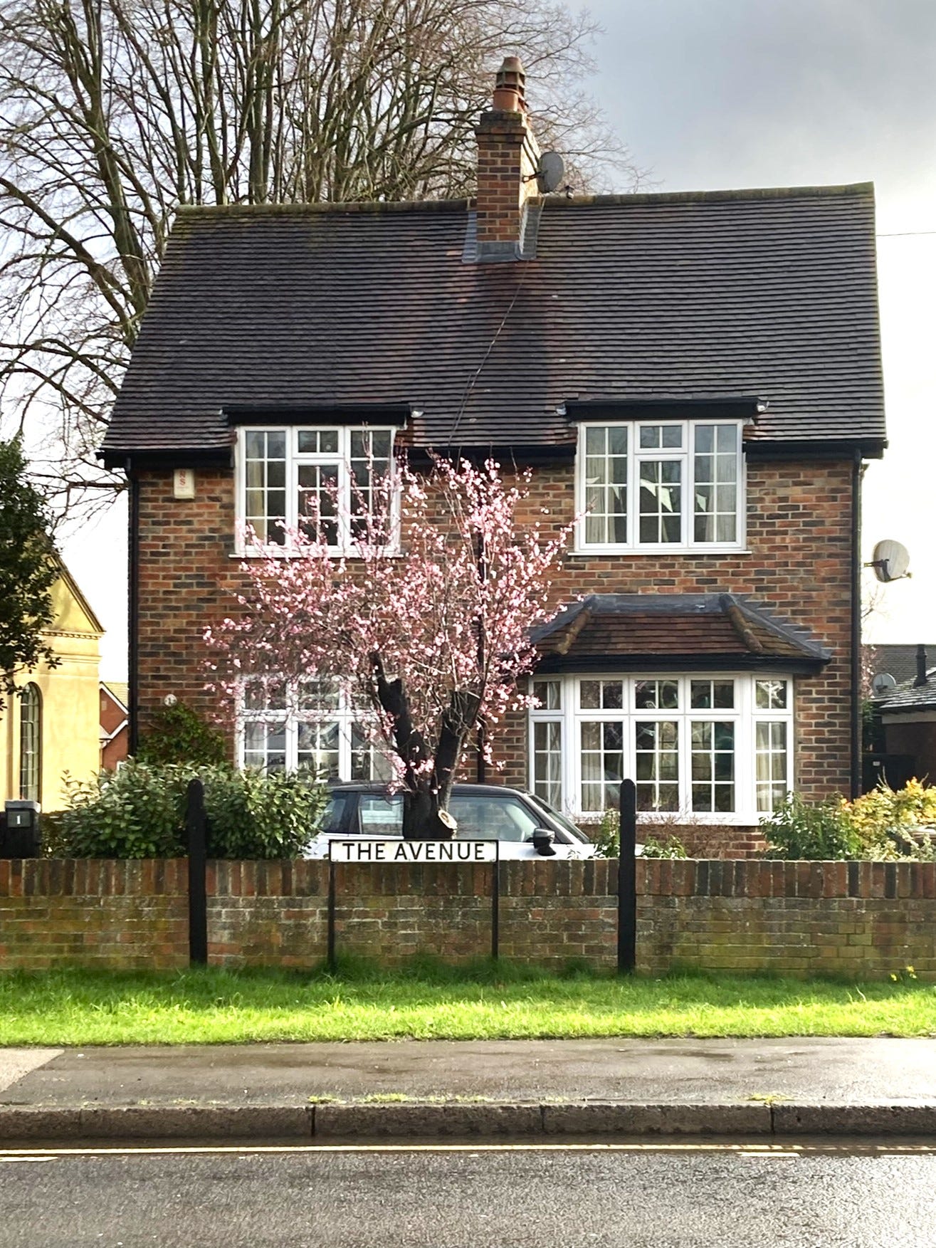 A brick house outside a grey-blue sky. In front of the house is a tree covered in pink blossom.