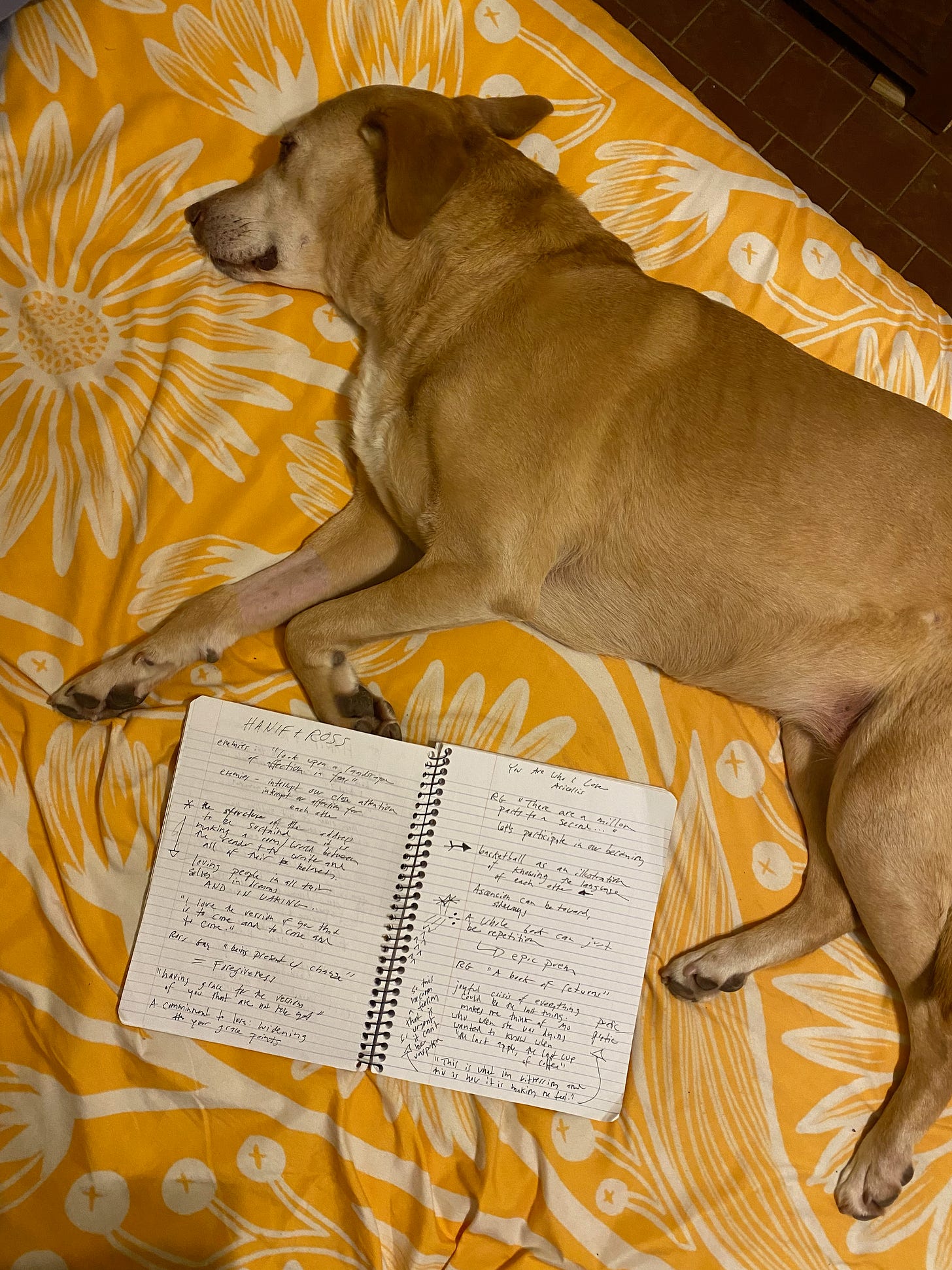 Nessa lying on her side on a yellow bedspread next to an open notebook full of scribbles from the talk.