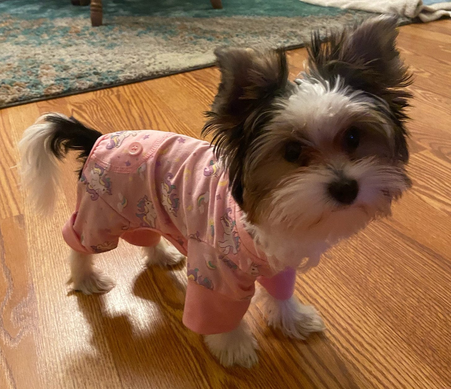 Puppy wearing pink pajamas