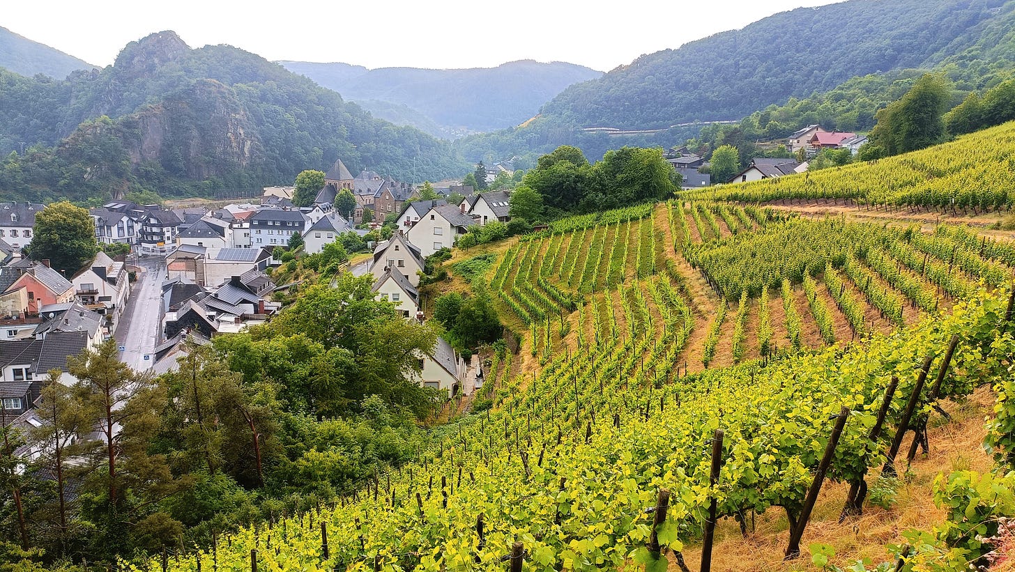 A beautiful vineyard landscape in the Ahr, Germany. This wouldn't influence you at all would it? Photo (C) Simon J Woolf.