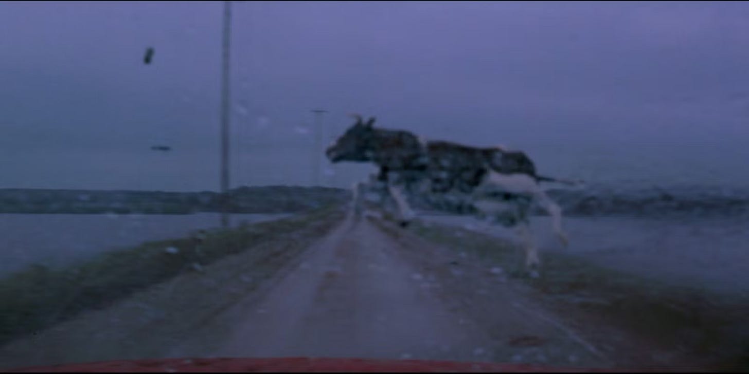 Still from the film Twister showing the famous airborne cow 