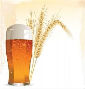 a glass of beer with a stalk of wheat behind it