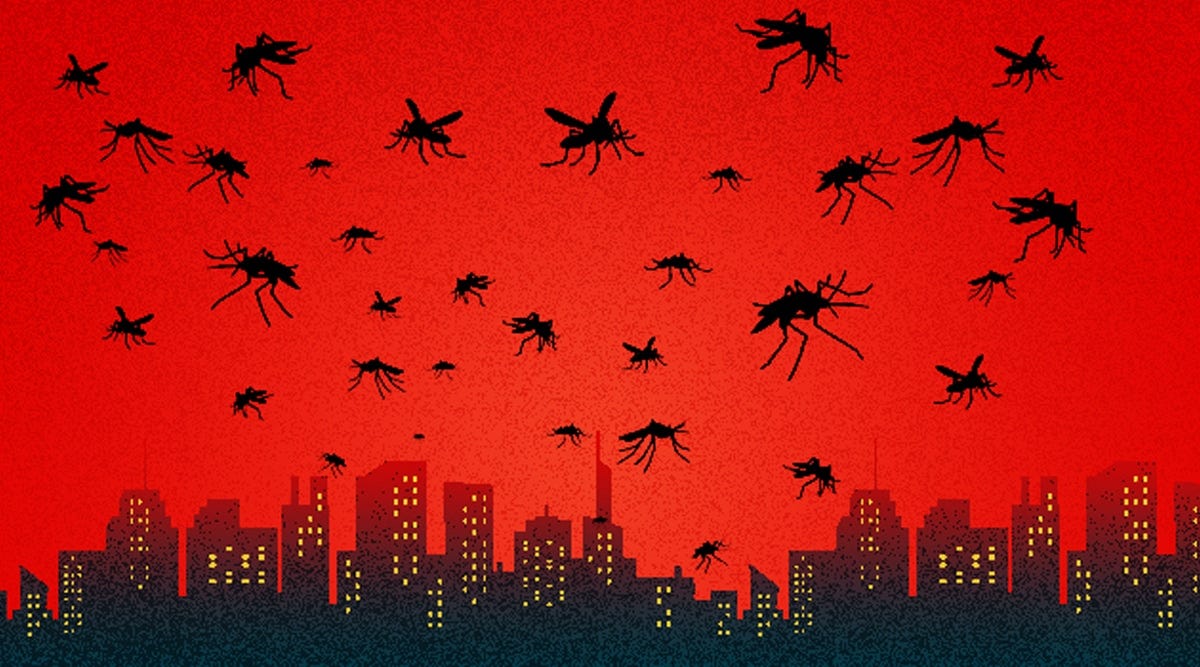 Mosquitoes & climate change: How rising temperatures are adding to the bite  and buzz | India News - The Indian Express