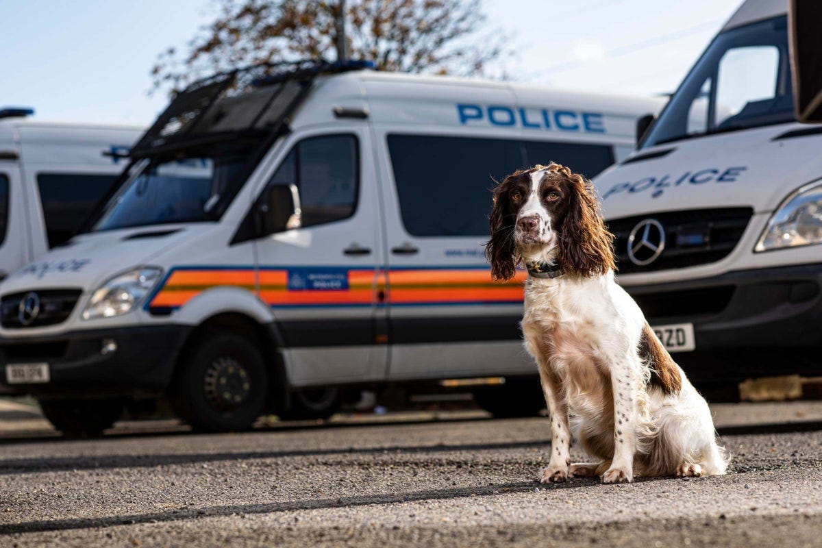 Collaring cyber crooks... Met Police unleashes its canine gadget inspectors  | London Evening Standard | Evening Standard