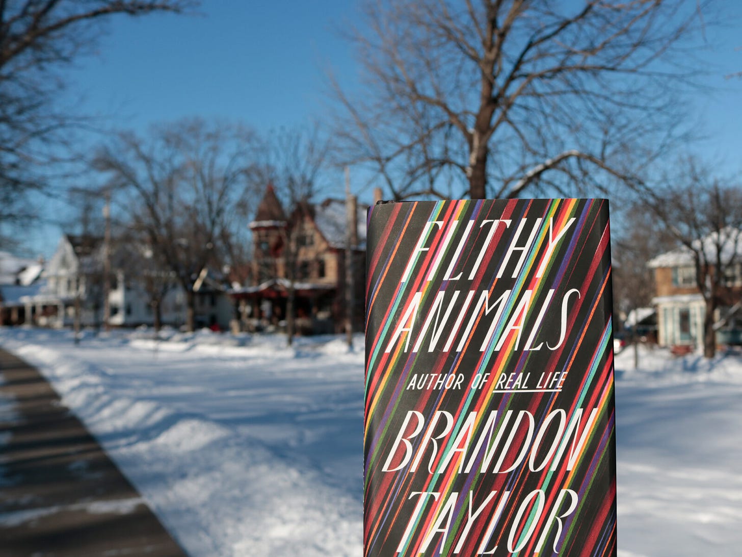 A hardcover copy of the book Filthy Animals by Brandon Taylor, featuring diagonal multicolored stripes across a black background and the title and author in italic capital letters, is shown in a photo with a snowy morning in Madison’s Orton Park in the background. Houses, bare trees, a blue sky, and a stretch of park path are visible in the photo's background.
