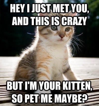 A meme with a picture of a kitten that says: "Hey, I just met you and this is crazy, but I'm your kitten, so pet me maybe?"