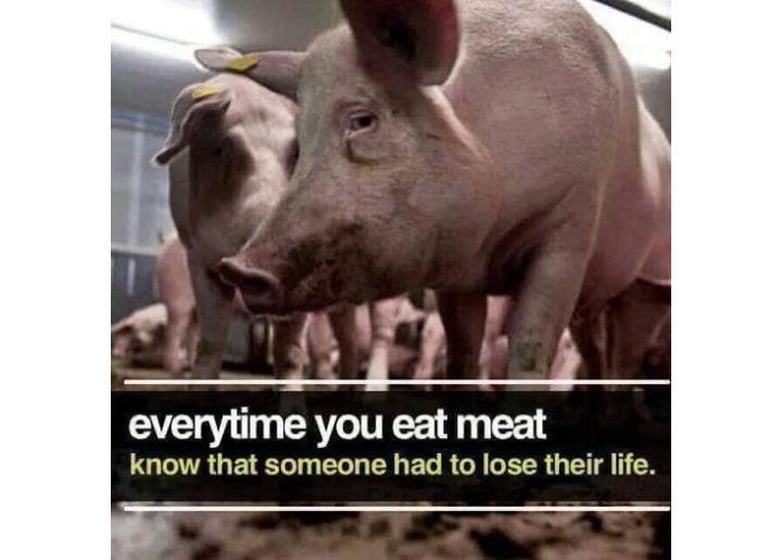 This image delivers a harsh but necessary truth—eating meat isn’t just a meal choice, it’s a life taken. Every bite comes at the cost of an individual who wanted to live. The question is, is taste really worth their suffering? 🌱