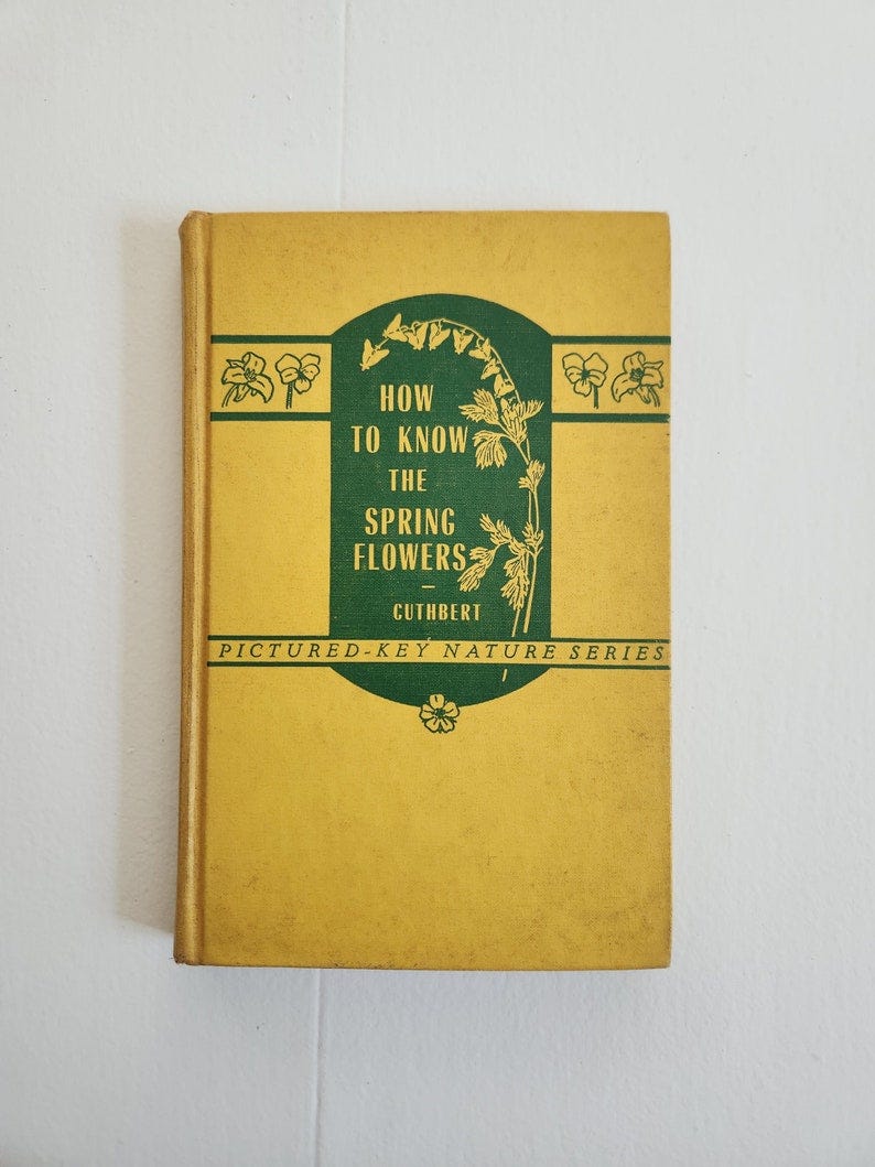 How to Know the Spring Flowers by Mabel Jaques Cuthbert Vintage Pictured-Key Nature Series Botany Guide Retro Garden Science Book image 1