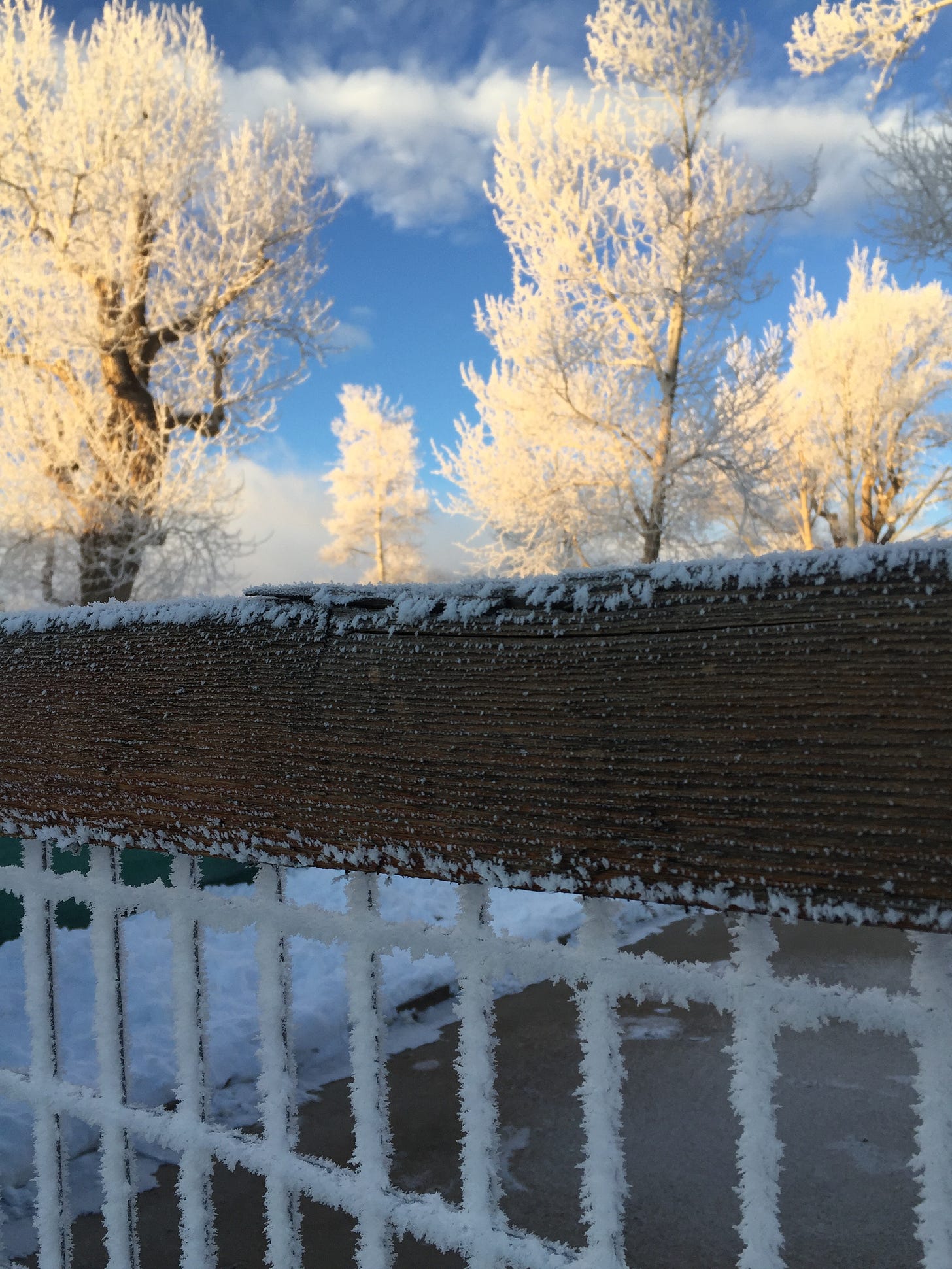 Blue sky and clouds behind frost covered tree branches and frost-covered fence wire.