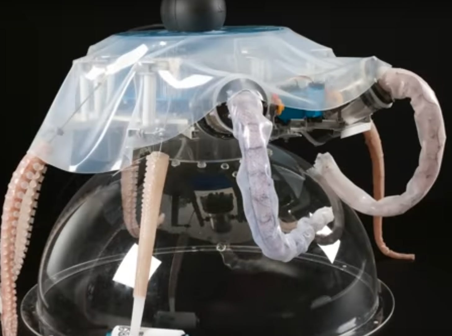 A machine with fake jellyfish legs and a plastic bag on top it looks like a vacuum cleaner with rope tied to it