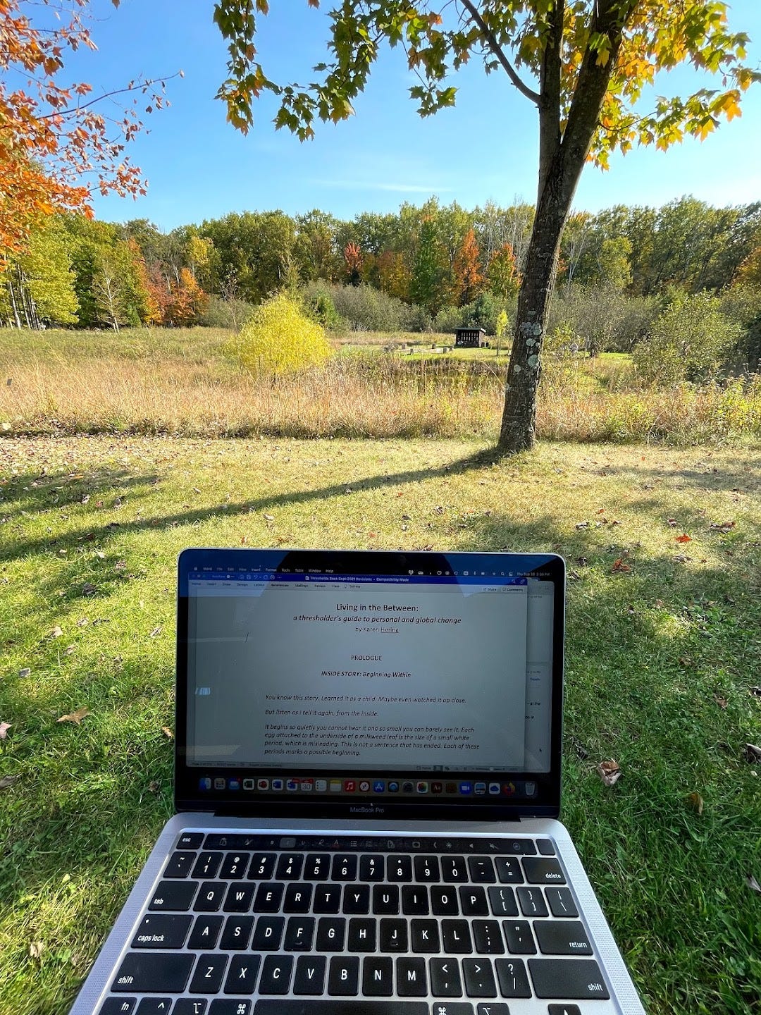 Autumn outdoor scene of field and trees with open laptop in foreground.