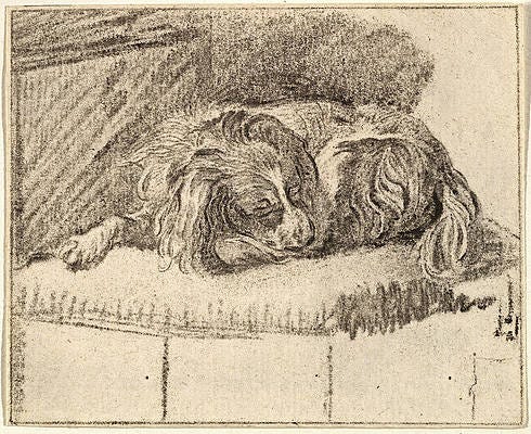 Sleeping Dog Drawings for Sale | Fine Art America
