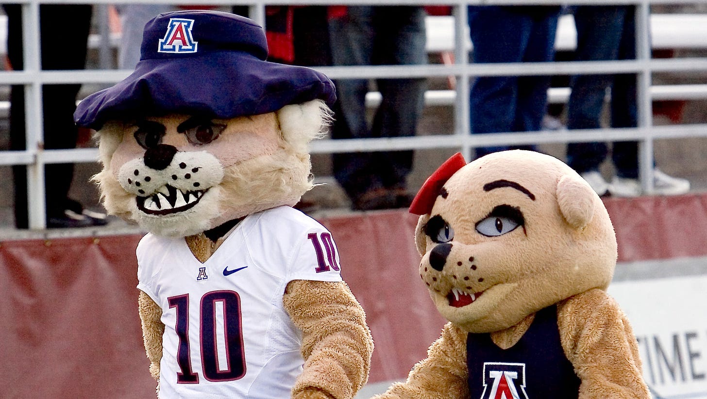 Why do Arizona Wildcats 'Bear Down'?