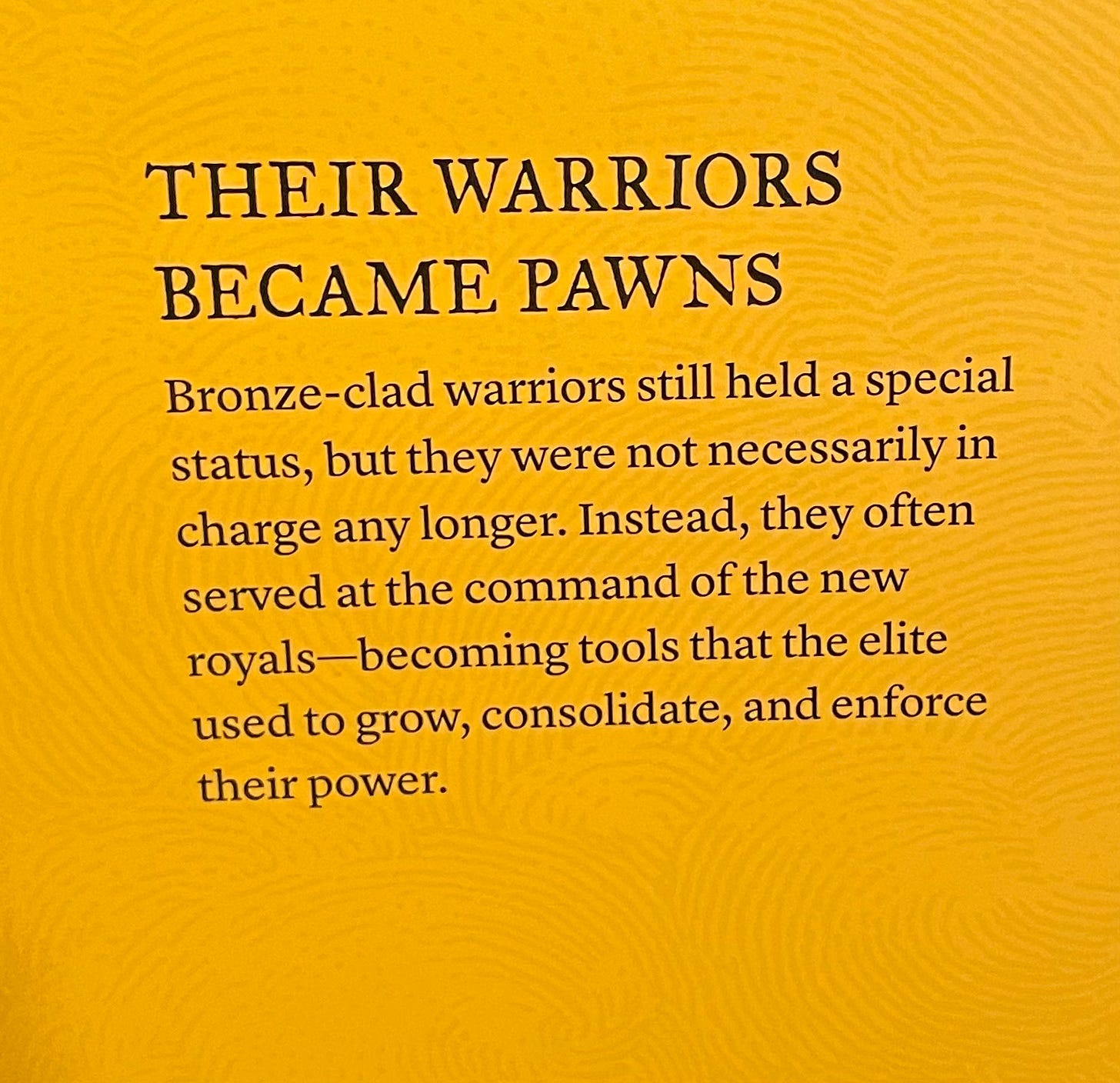 museum plaque text reading 'their warriors became pawns. Bronze-clad warriors still held a special status, but they were not necessarily in charge any longer. Instead, they often served at the command of the new royals—becoming tools that the elite used to grow, consolidate, and enforce their power.'