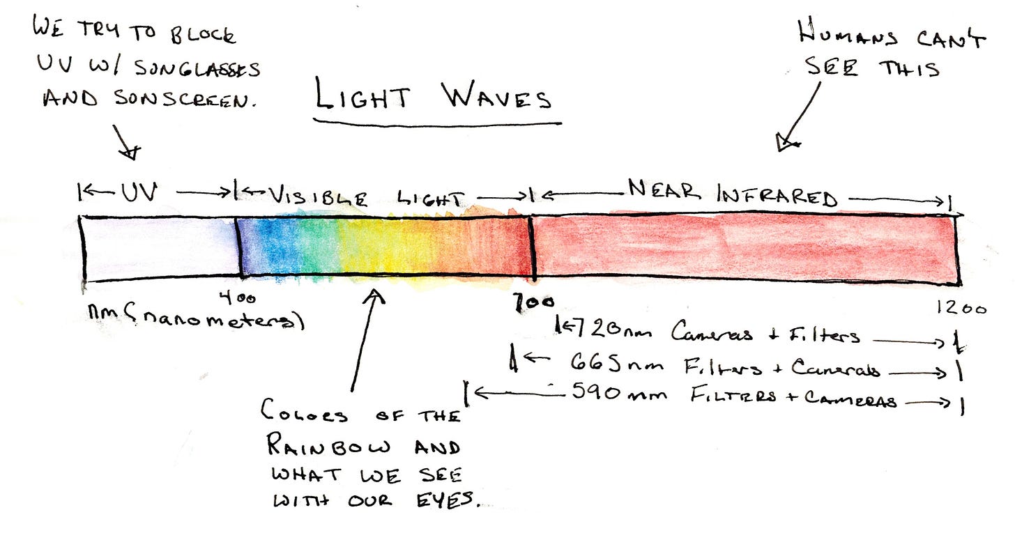 A chart showing visible light, uv light and infrared light. 