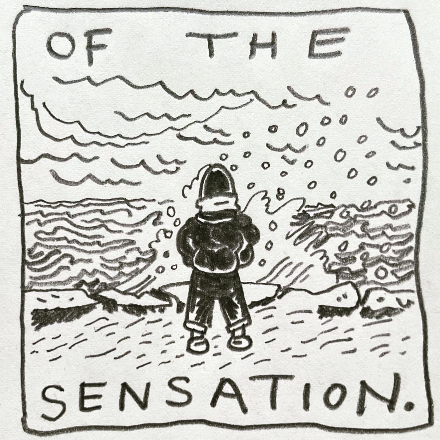 Panel 4: of the sensation. Image: we see Lark's back. They are standing in front of a row of boulders, the lake behind. Heavy clouds hang in the sky. A wave is crashing up against the rocks, moving with the wind, spraying foam.