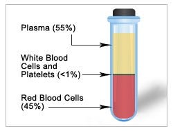 Blood components, including plasma, white blood cells, platelets and red blood cells