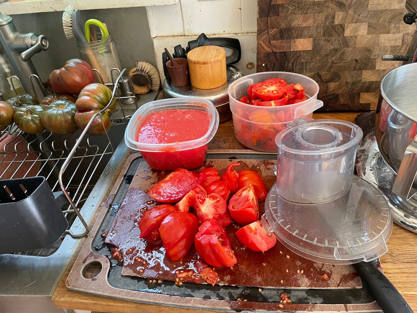 tomatoes in various states of being pulverized for preservation