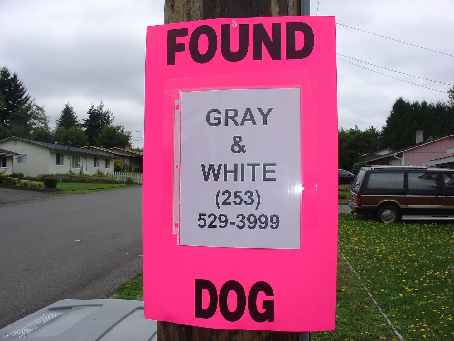 Neon pink sign that says FOUND DOG and includes description GRAY & WHITE and a phone number