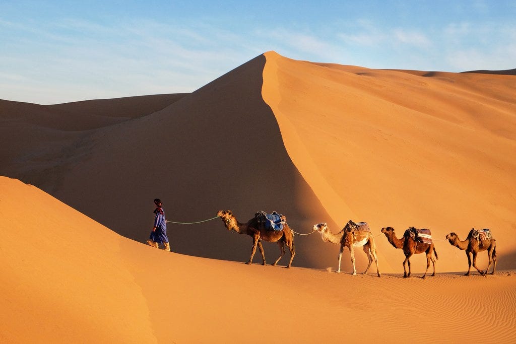 Morocco's Sahara Desert in April: Travel Tips, Weather, and More | kimkim