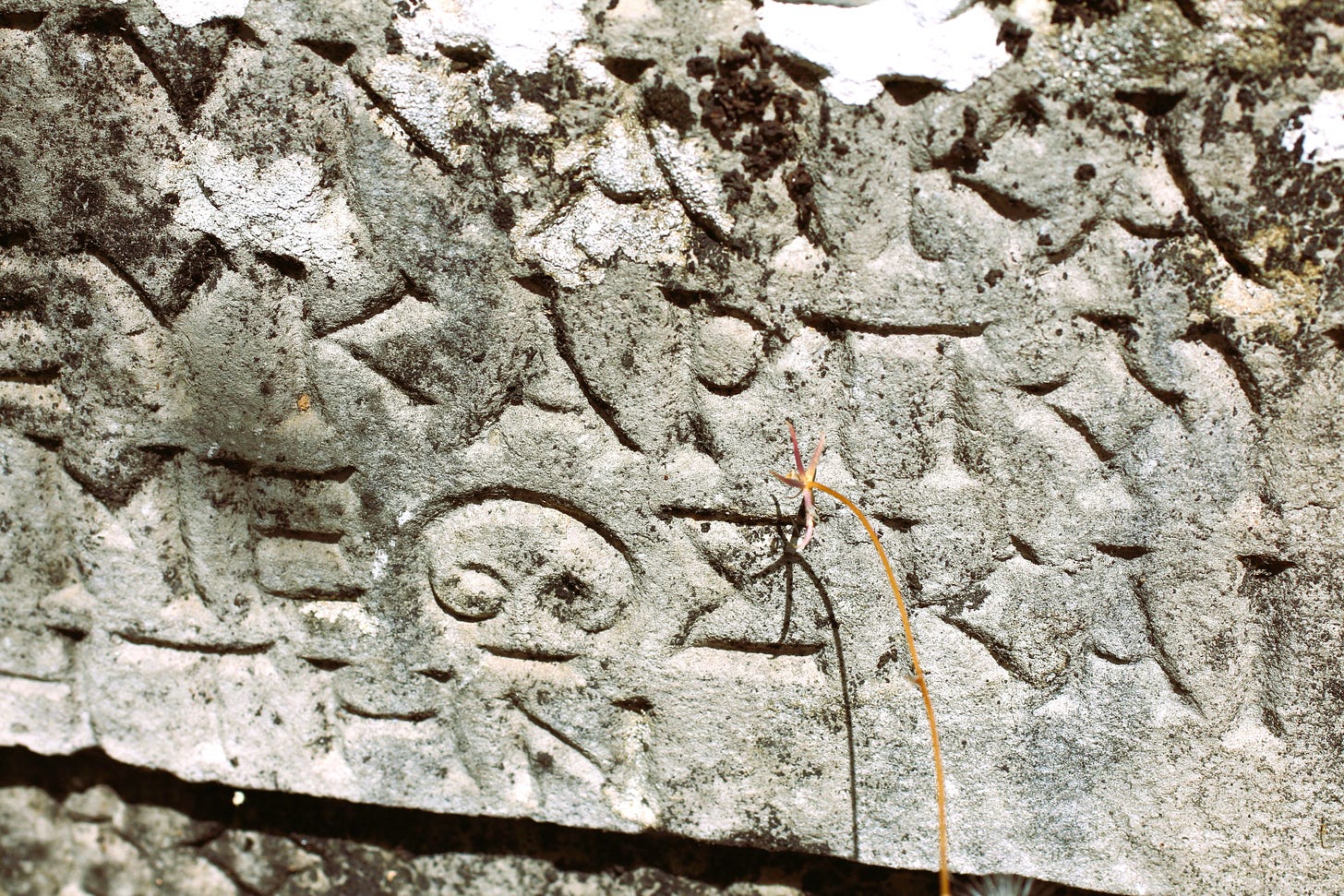 close up photo of a fragment of inscribed stone from some ruins in Turkiye