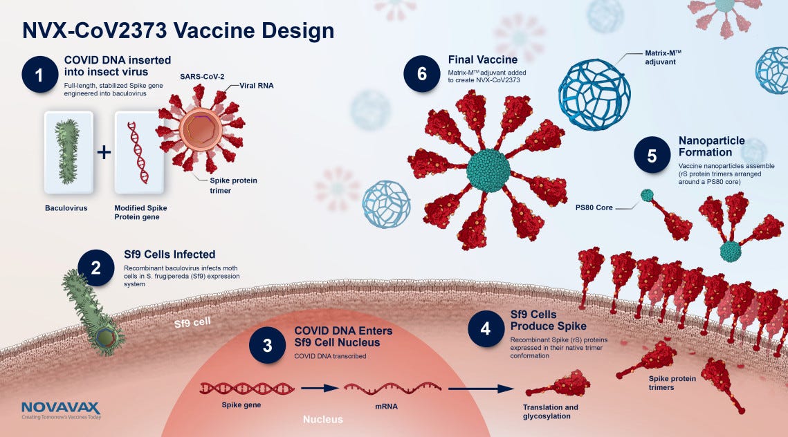 Novavax vaccine: What it means for variants and the global fight ...