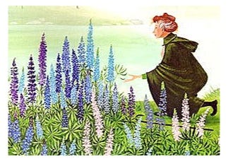 What Can We Learn From The Classic Children's Book, Miss Rumphius? — Gay  Cioffi - Early Childhood Specialist