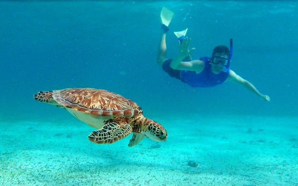 Belize snorkeling