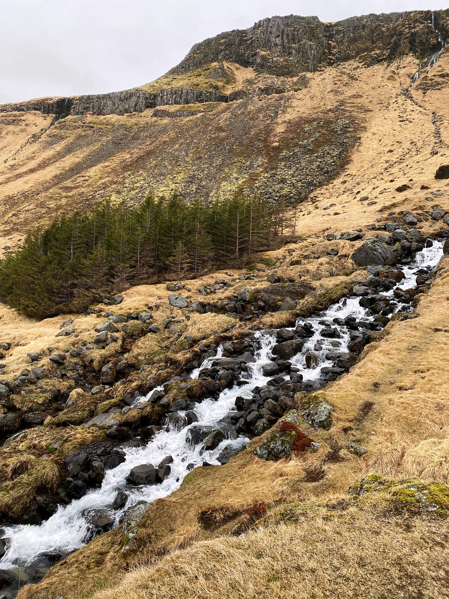 Bjarnafoss waterfall from the right side.  The top of the falls is far in the distance and the flowing water rushes past my photo view point towards the bottom.  The ground is shades of light brown moss and grass with deep burgundy soil and evergreen trees. The sky is filled with light gray clouds.