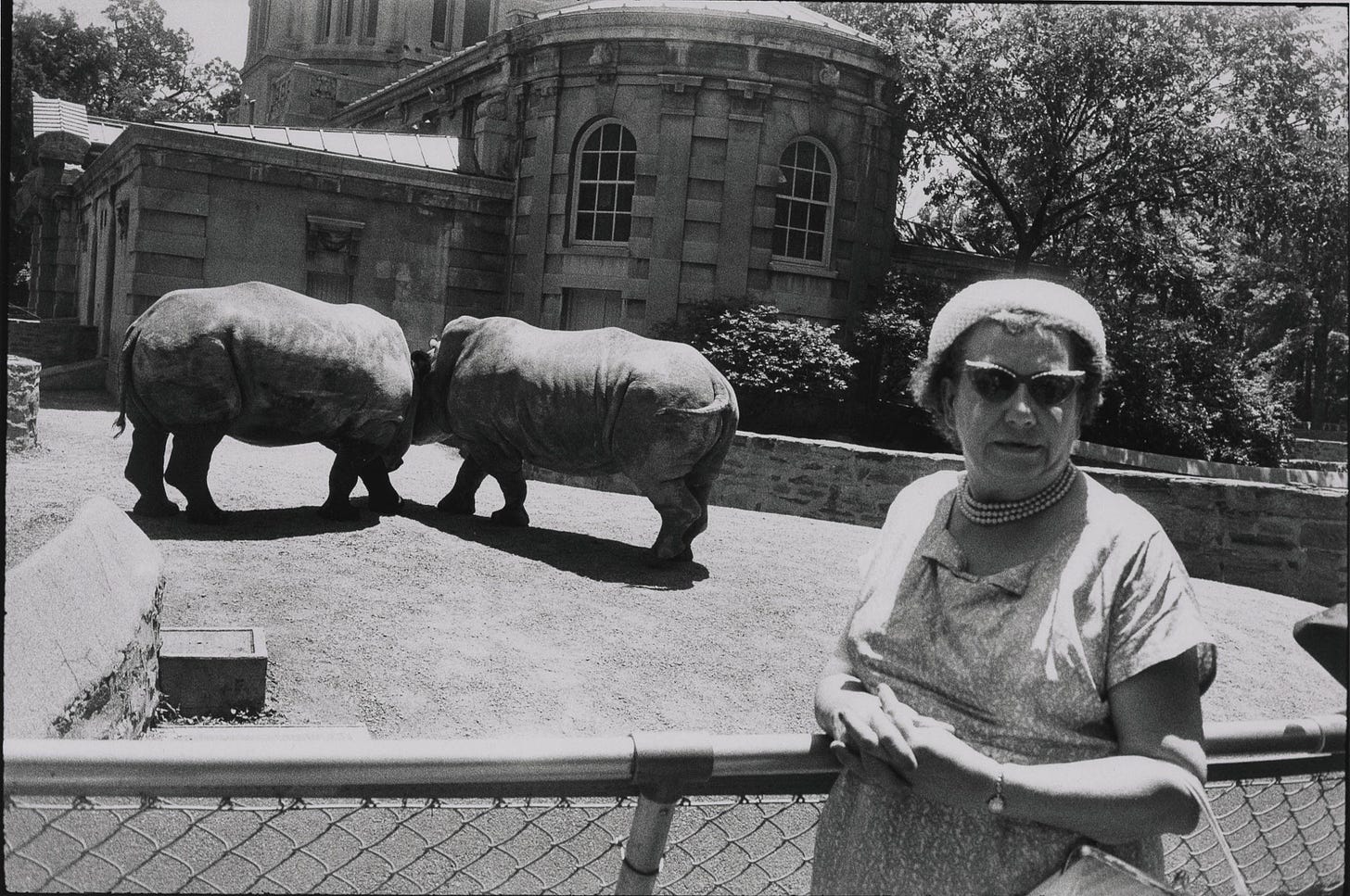 GARRY WINOGRAND (1928-1984) , Central Park Zoo, New York, 1967 | Christie's