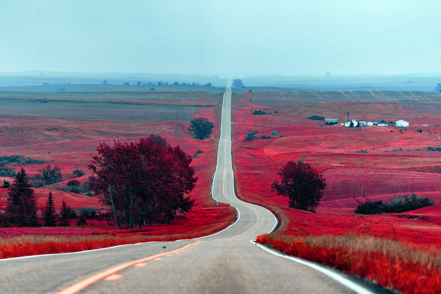 road through prairie