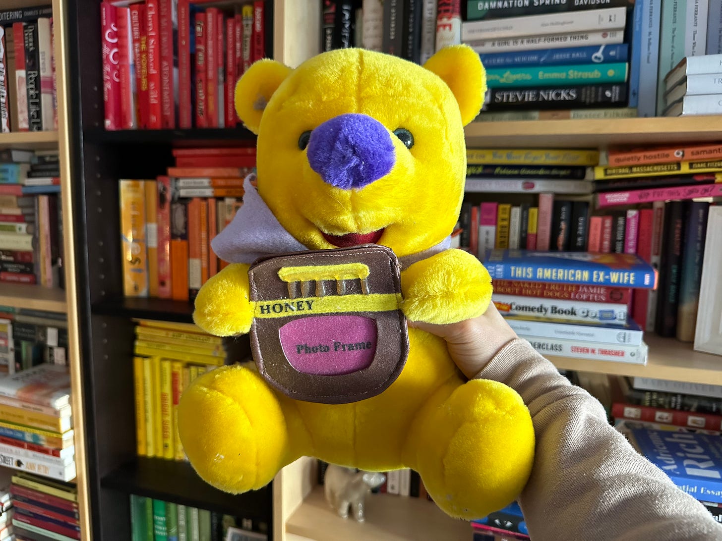 A photo of the generic stuffed bear who mocks me to this day.