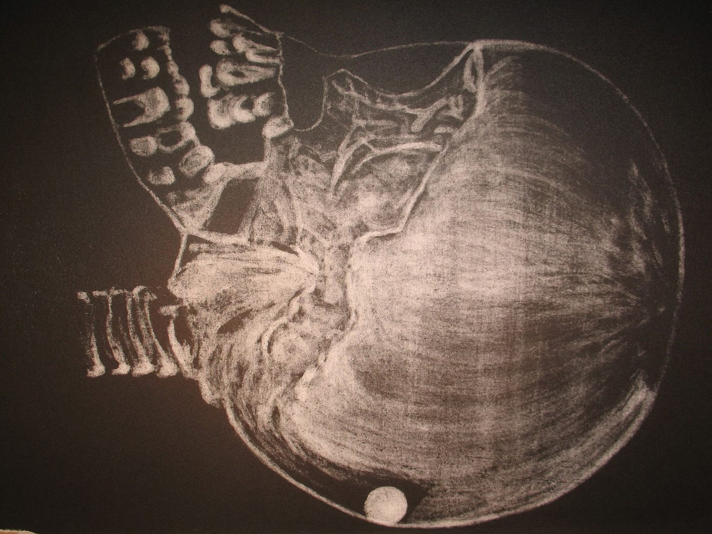 May be an image of xray