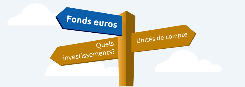 Qu'est ce qu'un Fonds Euros en Assurance Vie?