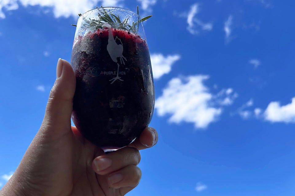 Hand holding a blueberry & rosemary margarita.