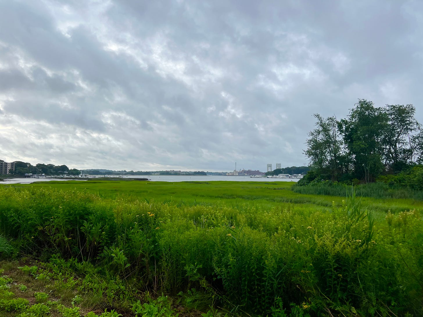 Restored Boston marshland at the industrial coast