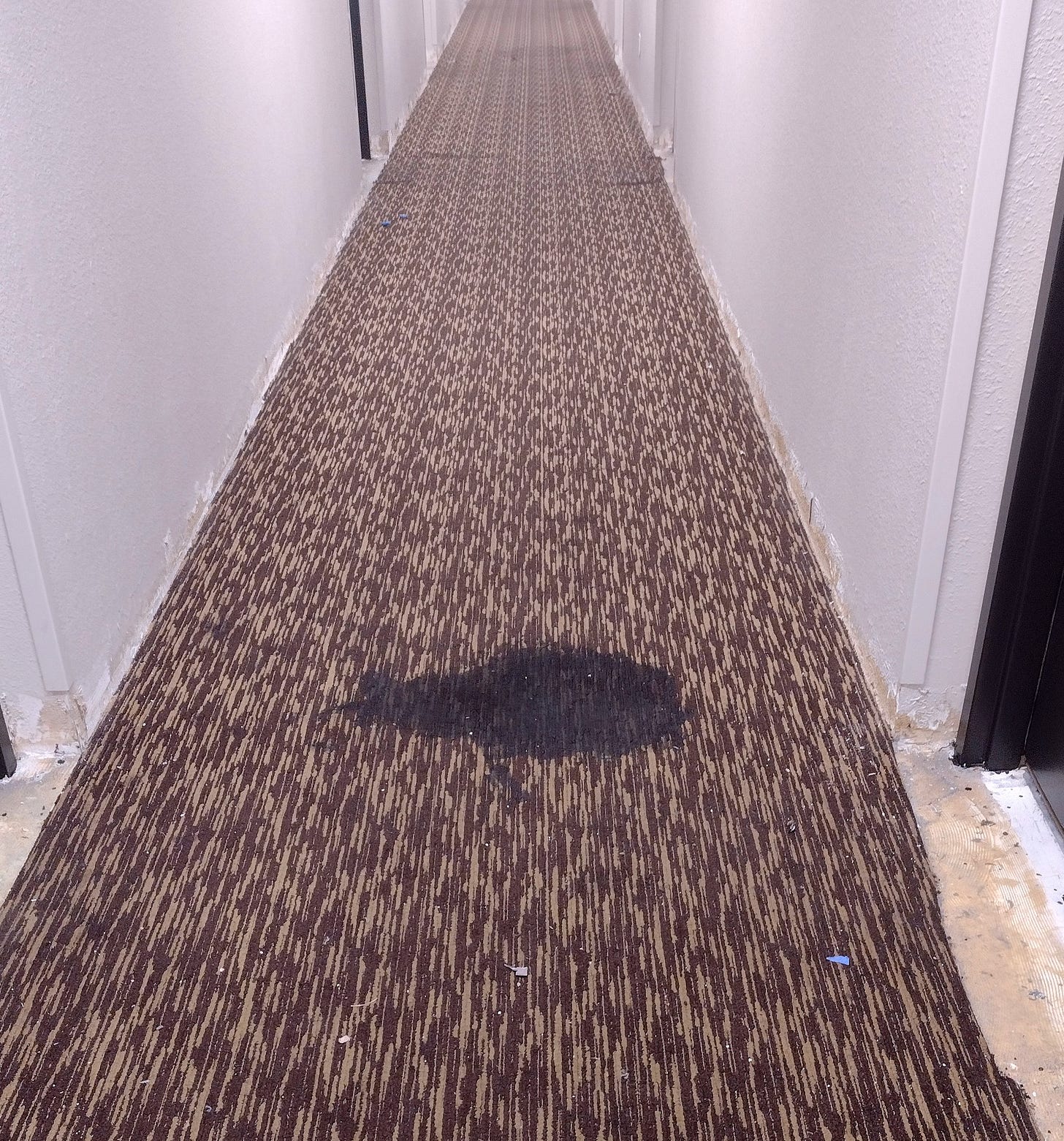 Carpet with the baseboards already removed, and a splash of black paint.