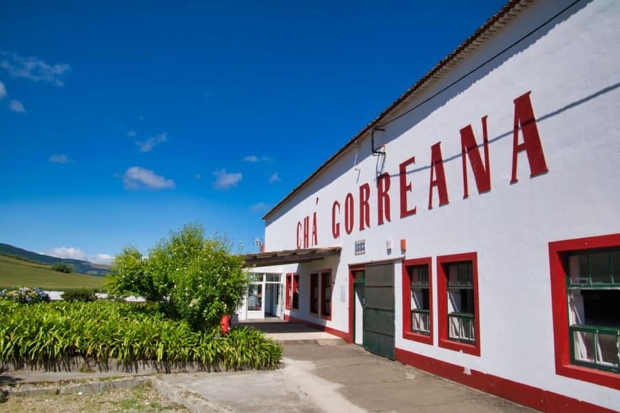 Azores Tea Factory - Gorreana