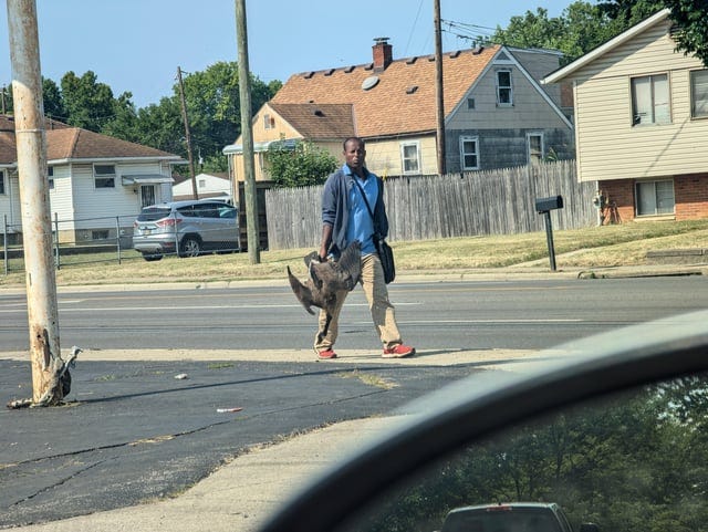 r/Columbus - Things you see while driving in CBUS