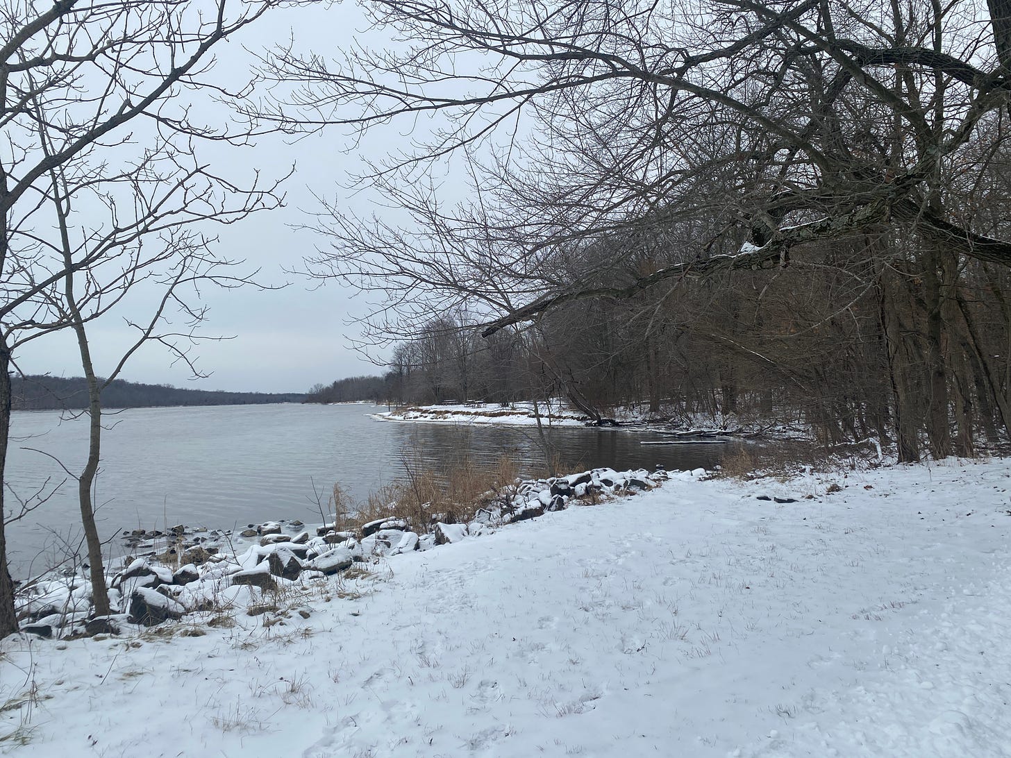 a lake beyond a snowy clearing